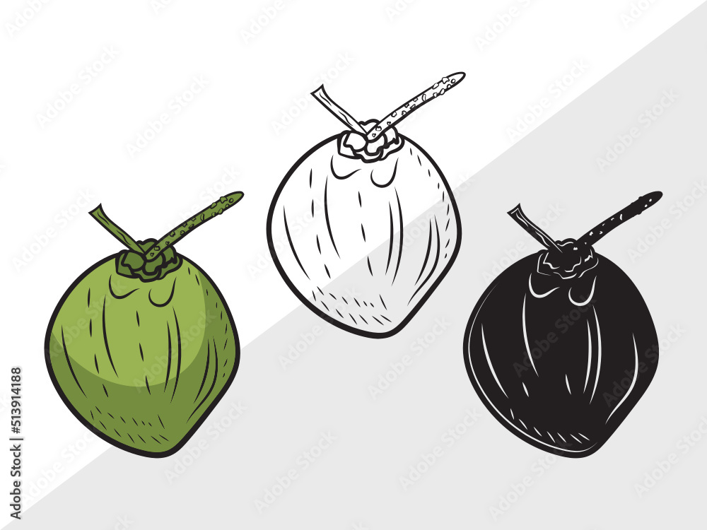 Coconut Svg Cut File Fruit Svg Coconut Drink Svg Coconut Shell