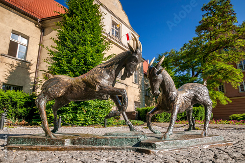 Goats on the square in Poznan, Greater Poland Voivodeship, Poland.
