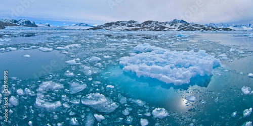 Tableau sur toile Drift floating Ice and Snowcapped Mountains, Iceberg, Ice Floes, Albert I Land,