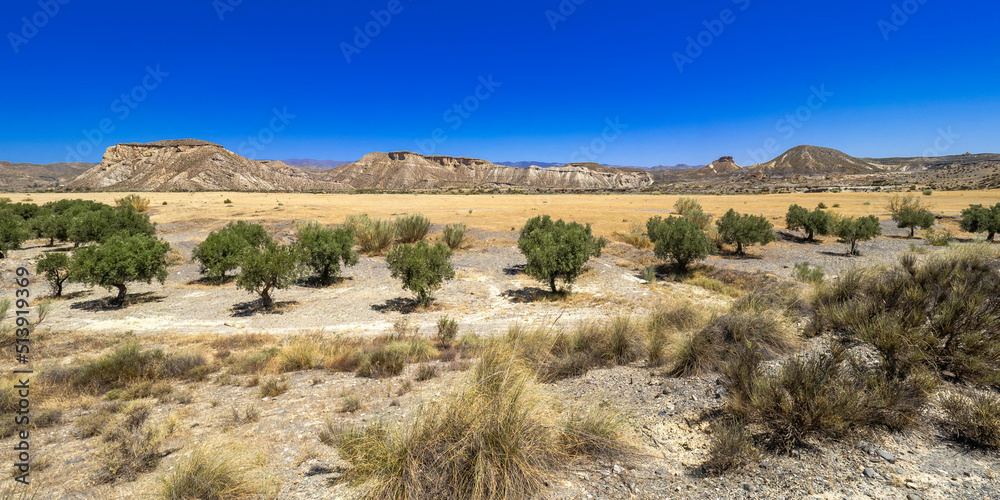 Tabernas Desert Nature Reserve, Special Protection Area, Hot Desert Climate Region, Tabernas, Almería, Andalucía, Spain, Europe Tabernas Desert Nature Reserve, Special Protection Area, Hot Desert Climate Region, Tabernas, Almería, Andalucía, Spain, Europe