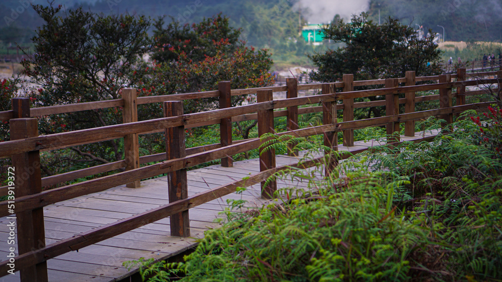 Nature scenery of a wooden bridge in the public park, with tall trees and stunning scenery