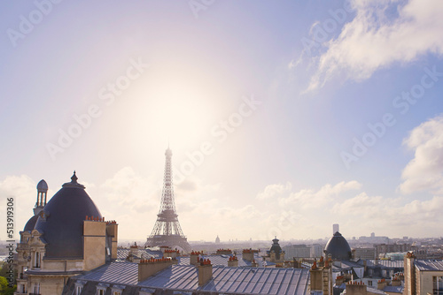 Paris France view Eiffel Tower iconic rooftops European historical architecture City of love © Bevan G/peopleimages.com