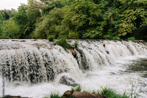 Fototapeta Naklejka Na Ścianę i Meble -  Waterfall on a green forest