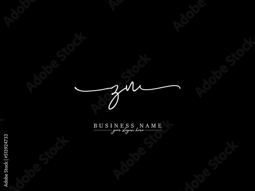 Luxury ZN Signature Logo, Signature Zn nz Logo Letter Vector Icon Design With Slime Signature Black White Image Design