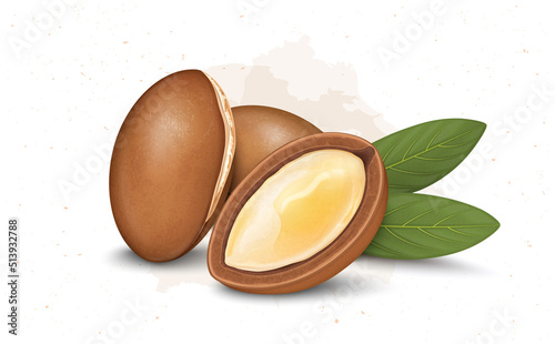 Argan Nuts vector illustration with green leaves isolated on white background