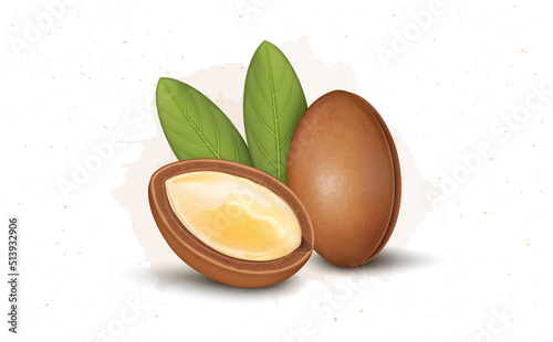 Argan Seed vector illustration with  half argan seed and green leaves