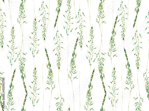 Grass Seamless Watercolor Pattern. Abstract Floral Illustration. Summer Grass Motif. Vintage Garden Wallpapaer.. Botanical Meadow Border. Plantago and Apera Dried Wild Plants. Green and Teal photo
