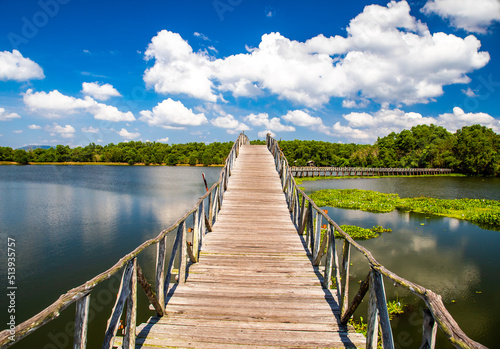 Nong Yai Pond and Wooden Bridge in Chumphon, Thailand © pierrick