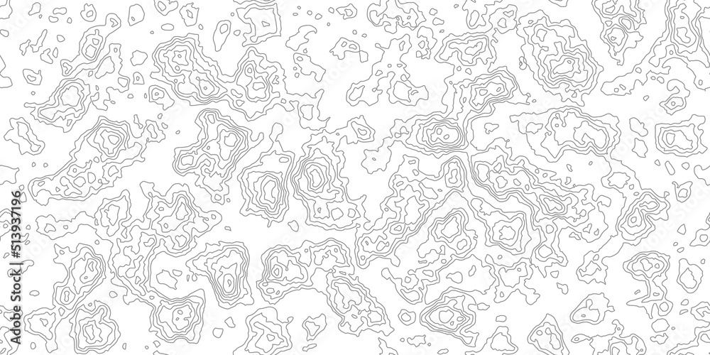 Topography map seamless pattern. Abstract topographic curves. Repeat geometric background. Outline topology land or underwater relief texture. Vector illustration.