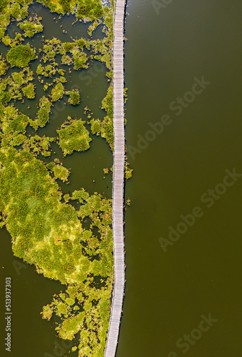 Nong Yai Pond and Wooden Bridge in Chumphon, Thailand photo