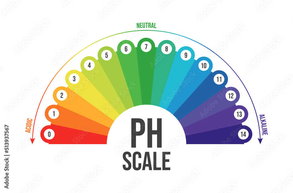 Vector Illustration Of PH Scale Isolated On White Background Color PH 