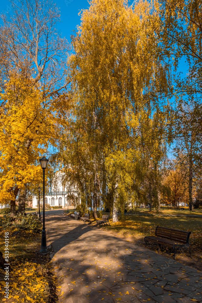 Naklejka premium Colorful foliage in the autumn park