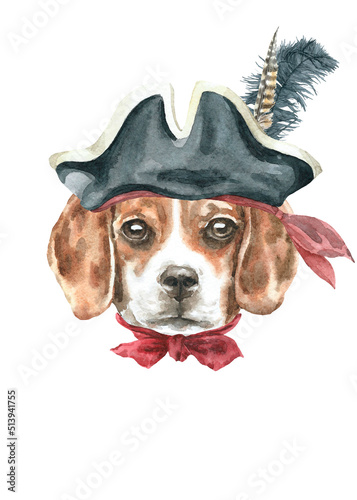 Watercolor dog breed beagle in pirate hat illustration, dog head hipster portrait, dog in funny hat, puppy fashion print, cute baby dog isolated on white background printable