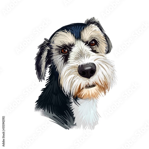 Griffon Nivernais dog digital art illustration isolated on white background. France origin medium-sized scenthound hunting dog. Pet hand drawn portrait. Graphic clip art design for web, print