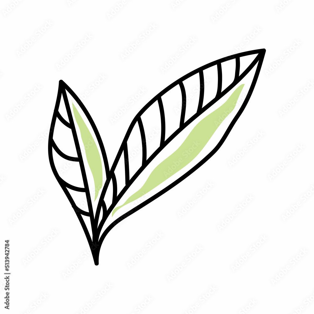 autumn leaf autumn leaf