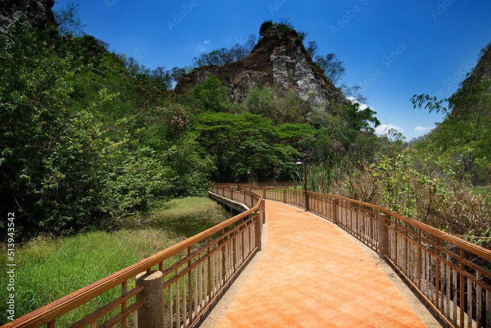 Curve of walkway in natural park cuts through asia tropical forests.