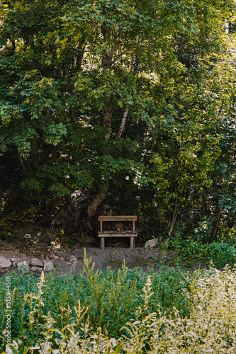 Fototapeta Naklejka Na Ścianę i Meble -  wooden bench in the forest