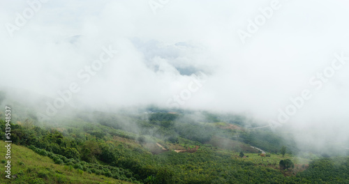 morning fog clouds on the mountain © gexphos