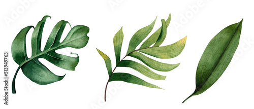 Set of watercolor tropical leaves on white background.