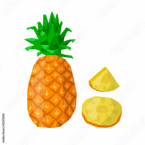 Vector isolated illustration with whole pineapple or ananas and slices. Concept of fruit, summer, vitamin. You can use in web design, postcard, banner, etc.