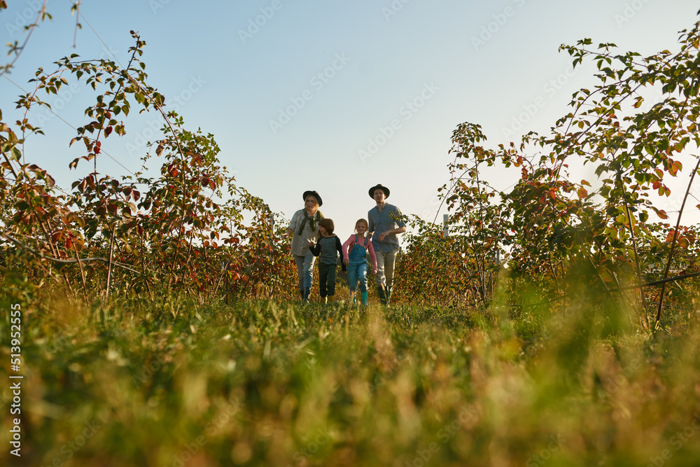 Young caucasian family walk and check fruit plants