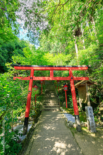                                        Nanzoin in summer. Fukuoka-ken Sasaguri town.