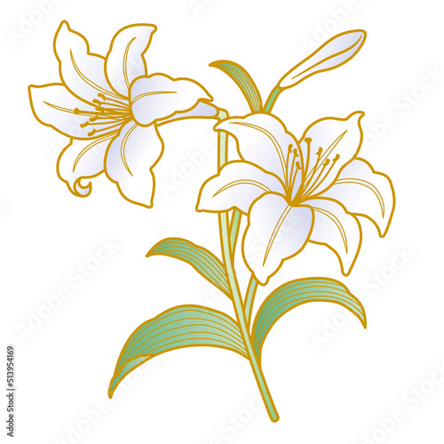 百合の花　和柄イラスト