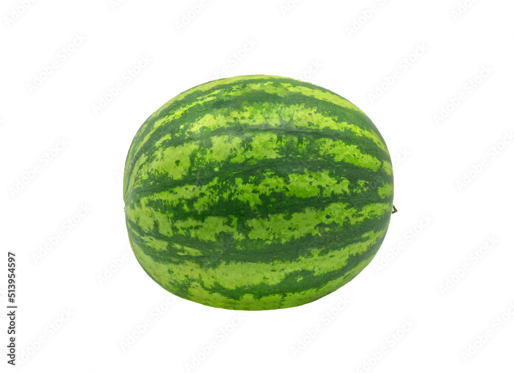 The whole body of fresh watermelon, side view, isolated the whole watermelon on white background. The whole body of fresh watermelon, side view, isolated the whole watermelon on white background.