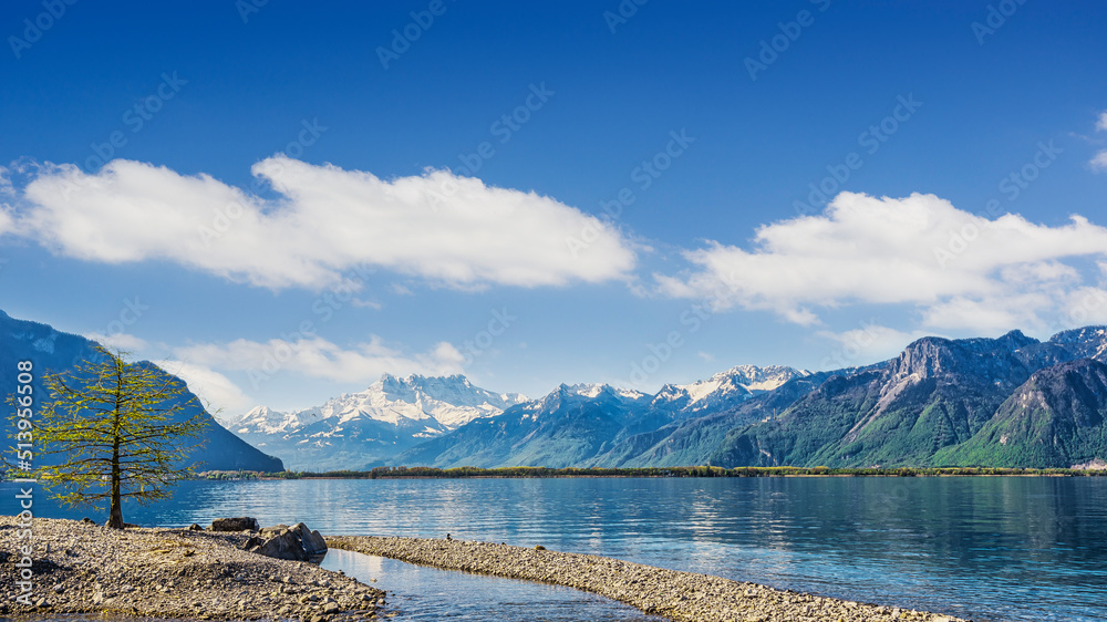 Lehmann Lake Landscape, Montreux, Switzerland