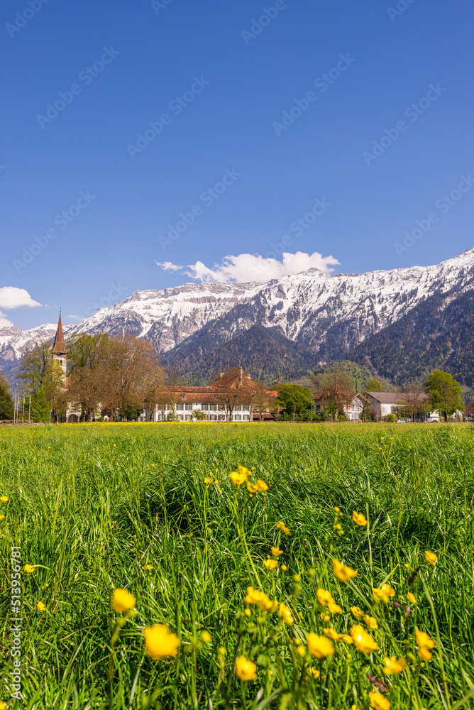 Fototapeta premium Spring Landscape in Interlaken, Switzerland