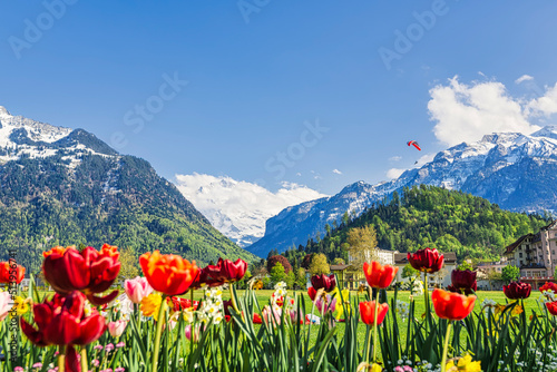 A view of a paragliding ride in Interlaken, Switzerland, where Jungfrau is seen