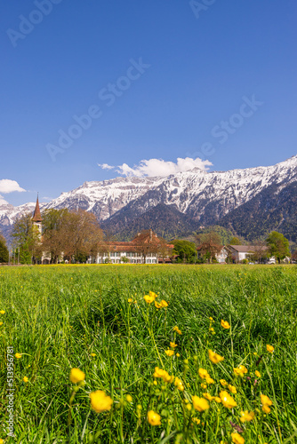 Spring Landscape in Interlaken, Switzerland