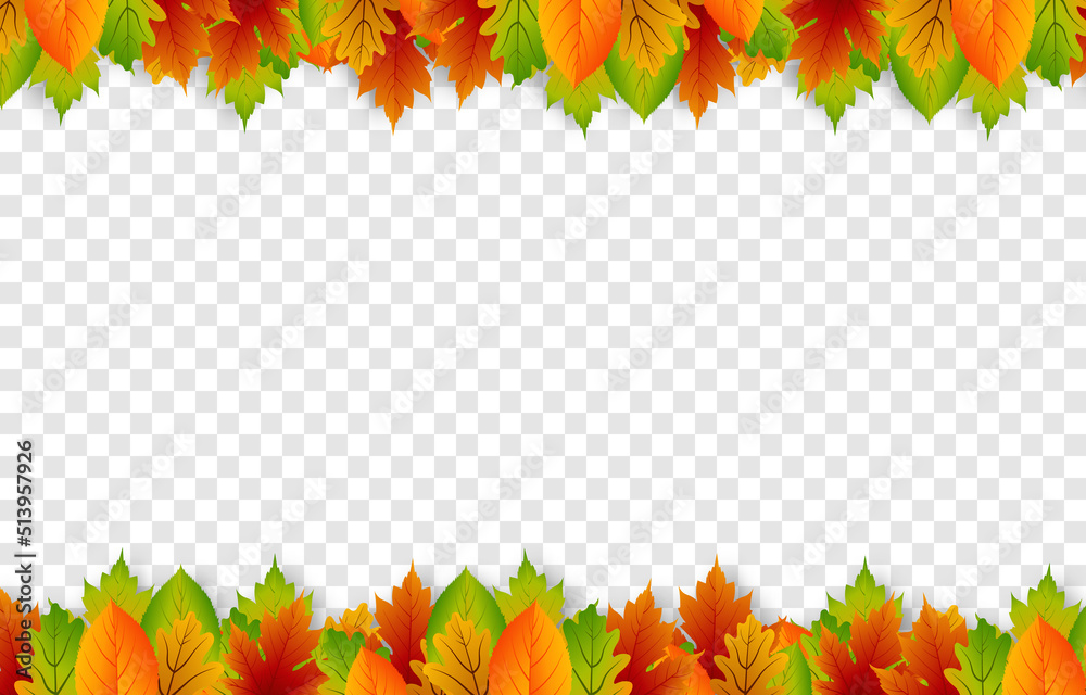 Vector leaves on an isolated transparent background. Autumn, leaves fall from the trees. Leaves frame. Leaves png. Vector leaves on an isolated transparent background. Autumn, leaves fall from the trees. Leaves frame. Leaves png.