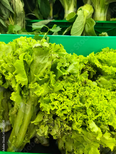 fresh green lettuce