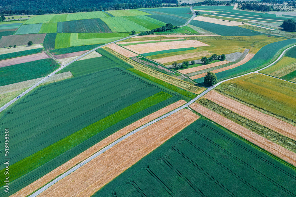 Obraz premium aerial of grain fields in summer