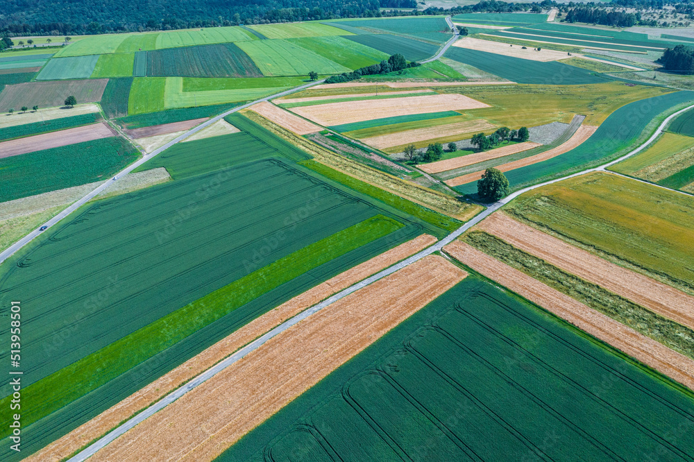 aerial of grain fields in summer