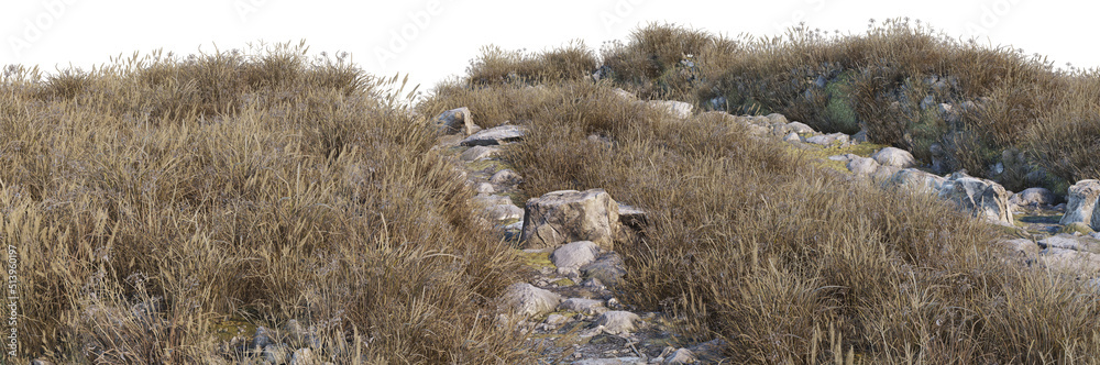 3d render grass hill with white background 3d render grass hill with white background