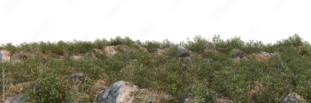 3d render grass hill with white background