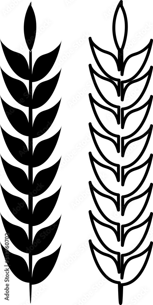 Ears of Wheat vector illustration on white background..eps Ears of Wheat vector illustration on white background..eps