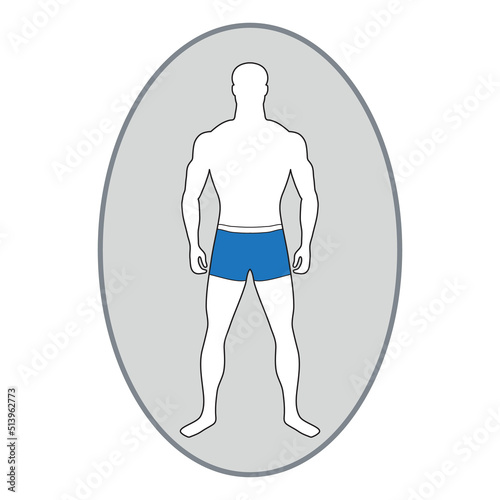 Slender tall man with muscular figure in blue swimming trunks. White male figure in full growth. Adult vector character. Correct physique and body proportions. Impersonal person with normal weight.