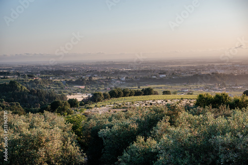 Beautiful sunset landscape in Italy with pastel color sun, olive trees, fields and stone pine trees outlines