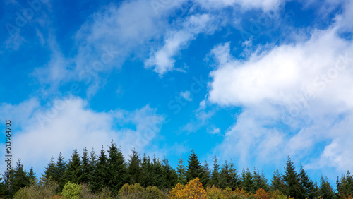 Autumn colorful trees on through mountain.Nature background.