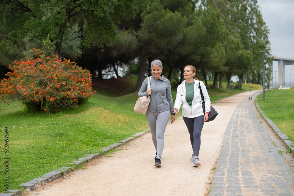 Fototapeta premium Satisfied senior friends talking in park. Women in sportive clothes communicating on cloudy day. Sport, friendship concept