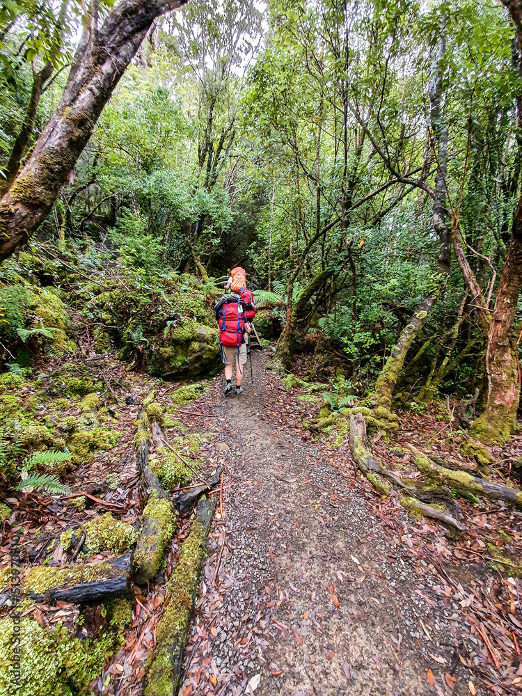 A person walks along the Three Capes Track in south-east Tasmania, March 2020