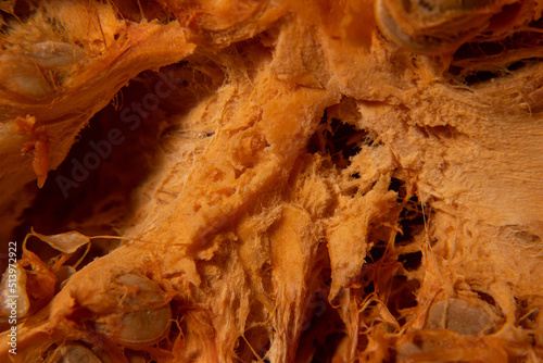 Fragment of a cross section of a pumpkin. Background, abstraction