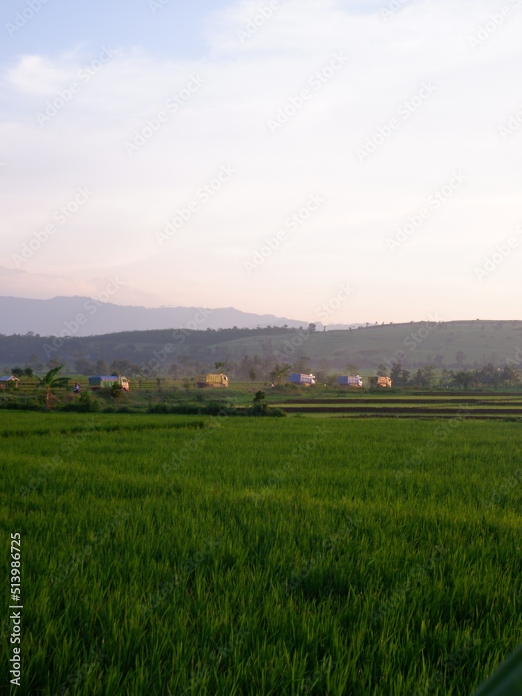 field and blue sky