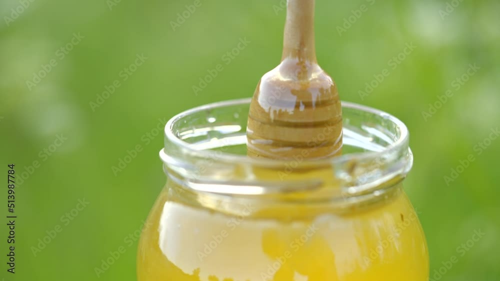 A bee that produces honey in the countryside A bee that produces honey in the countryside