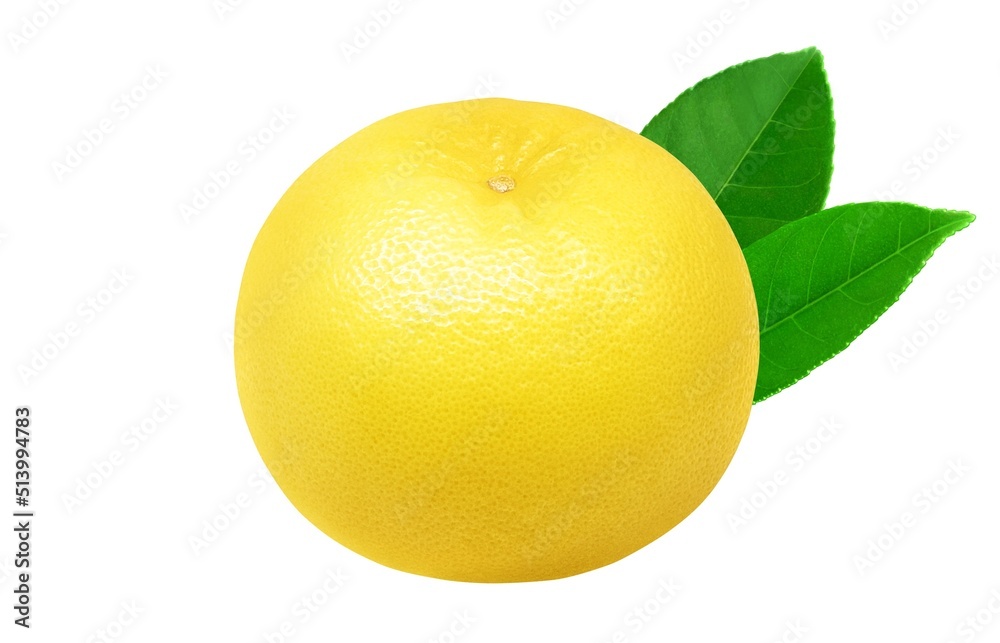 グレープフルーツ イラスト リアル セット Stock Illustration Adobe Stock