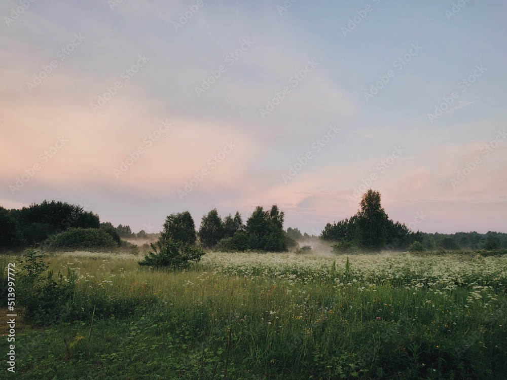 Morning mist over the field. Summer foggy landscape with blooming meadow and forest. Evening on nature with pink dreamy clouds with fog. Morning mist over the field. Summer foggy landscape with blooming meadow and forest. Evening on nature with pink dreamy clouds with fog.