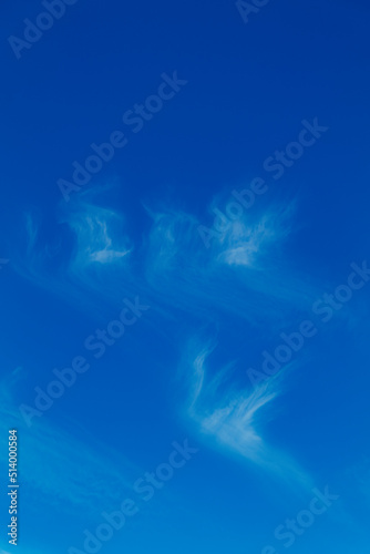 Blue sky background and white clouds soft focus, and copy space © Ekaterina